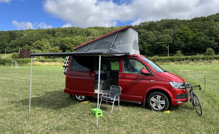 VW California staat voor u klaar!