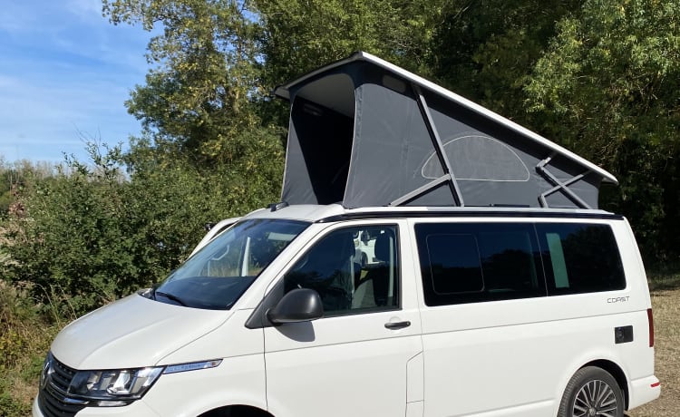 Volkswagen California T6.1 Costa DSG7