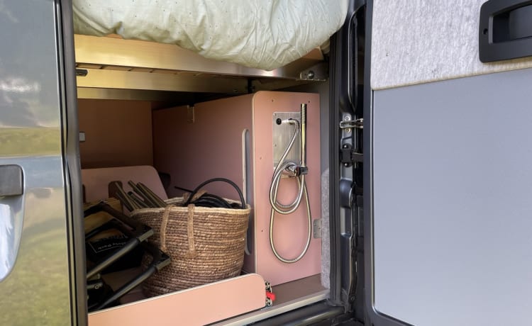 Roze Roadtripper – Camper bus modulare per 4 persone 