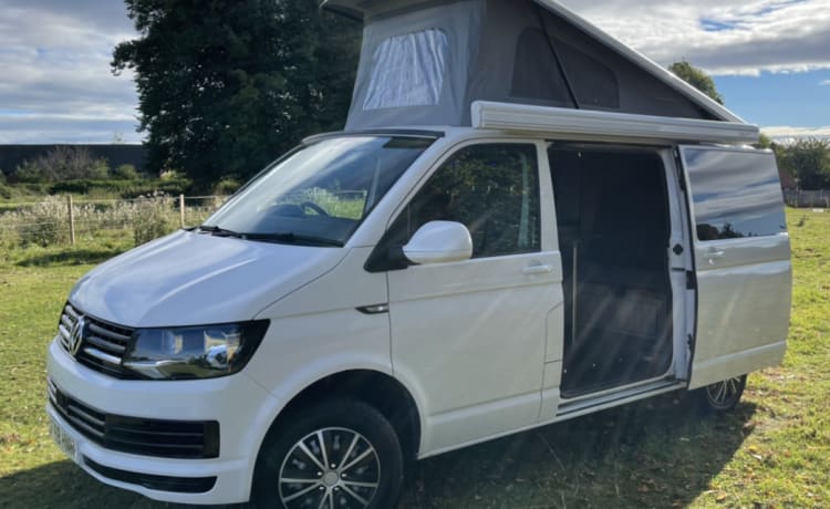 Honey – VW T6 - 2021 Professional Conversion 