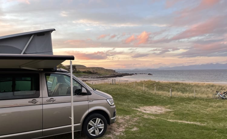 Tammie Norrie – 4-persoons Volkswagen campervan uit 2017