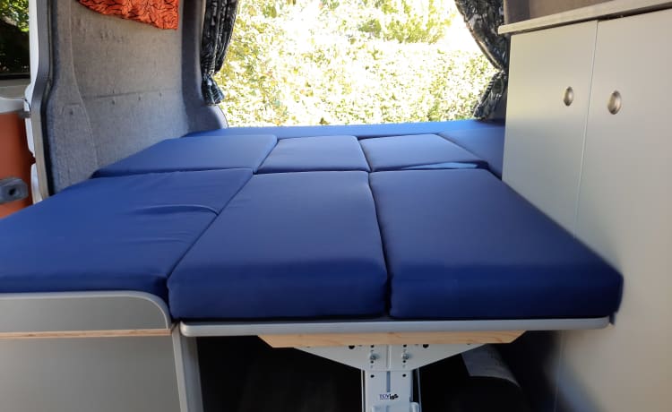 Bus camper compatto con sedile tondo Volkswagen VW T5 TDI