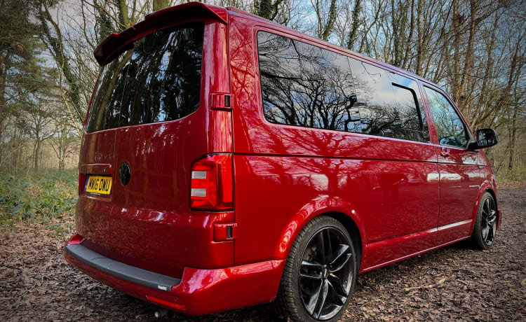 Empire – Premium VW T6 - VERSICHERUNG INKLUSIVE