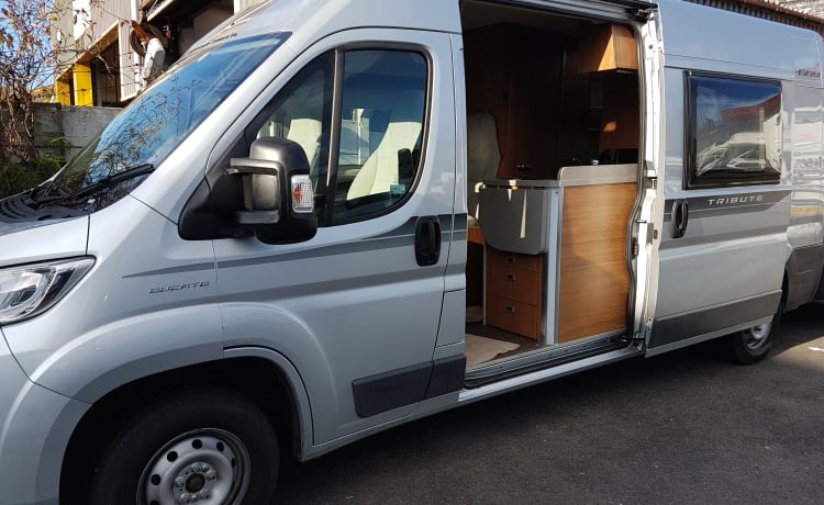 4 berth Tribute – Per famiglie 4 posti letto T 669 (Liverpool)