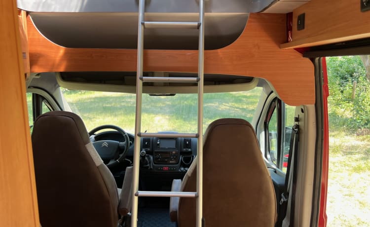 Bel camper bus, con tetto sollevabile.