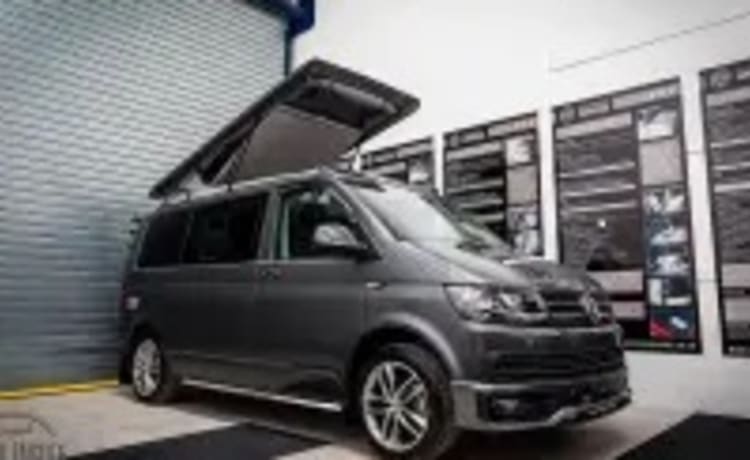 Harris – Camper Volkswagen 4 posti letto