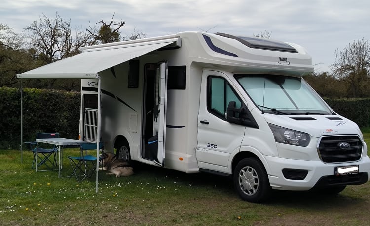 Louise – Avec ou sans chiens... partout à la maison sur la route