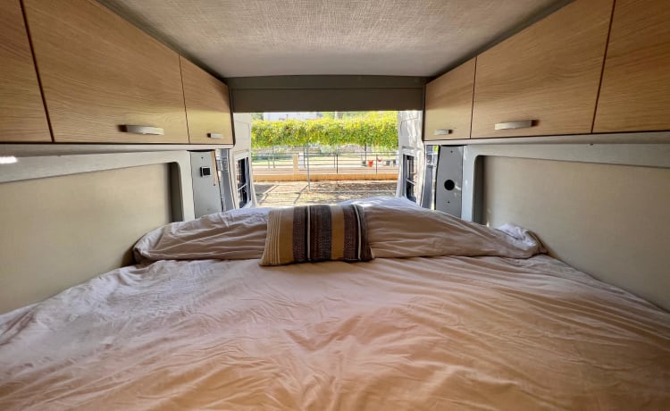 Freeda  – Adventurous, luxurious Hymer bus camper (4P)