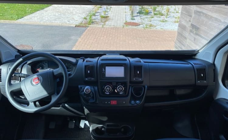 LIVINGSTONE – Autobus Fiat 4p del 2019