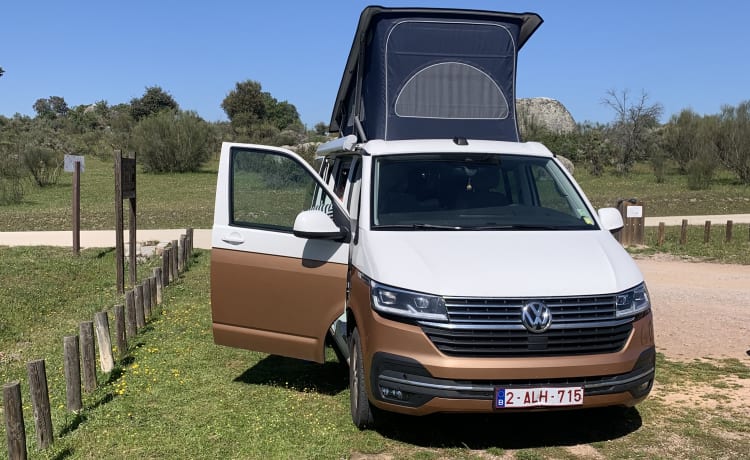 VW California automatique, toutes options, 2021 avec support planche de surf