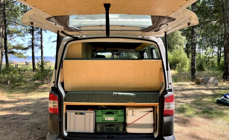 Binkie – Unique and durable Volkswagen Transporter