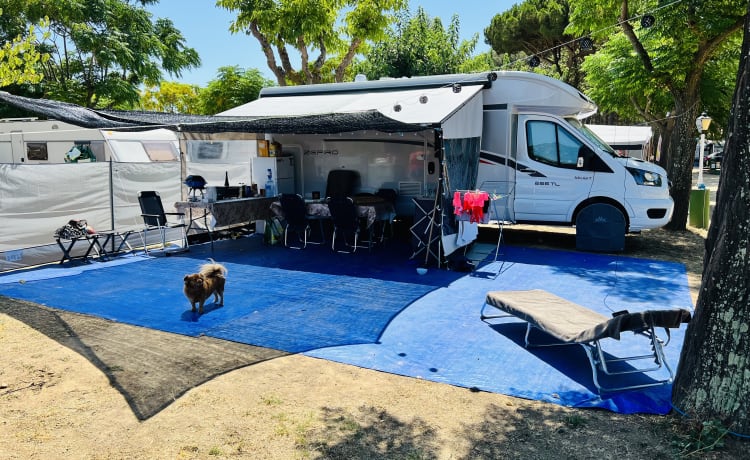 Rollerteam zefiro 266TL – Bellissima nuova casa mobile/camper con tutto il necessario! Animali domestici trattabili!