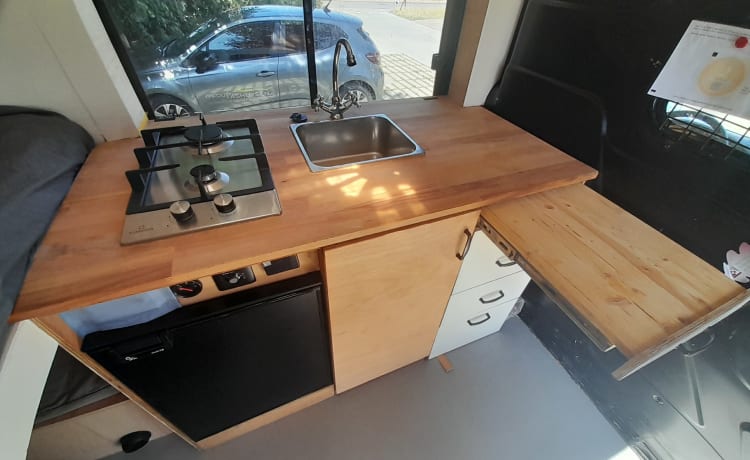 Findus  – characterful ford transit self-build (3 persons)