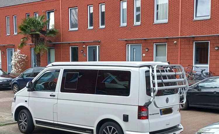 "Vrouwtje"  – "Femme" - Bus Volkswagen T5 3p (2014) (pas de porte-vélos)