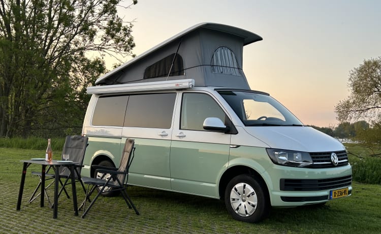 Olaf – Volkswagen Transporter T6 4-Personen-Retro-Grün mit Aufstelldach