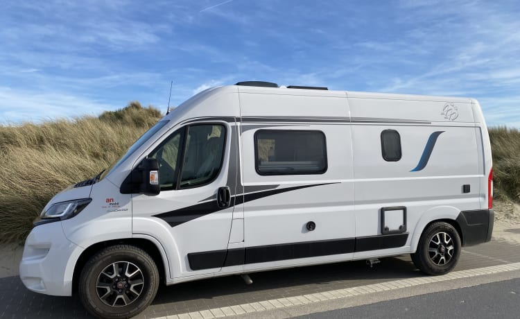 Amusanté – 2p Fiat bus from 2021 Automatic