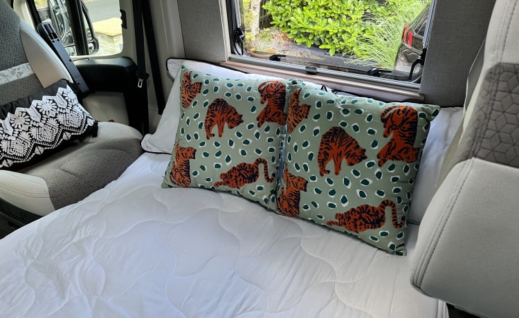 Bumble  – Swift-Bus mit 4 Schlafplätzen aus dem Jahr 2019