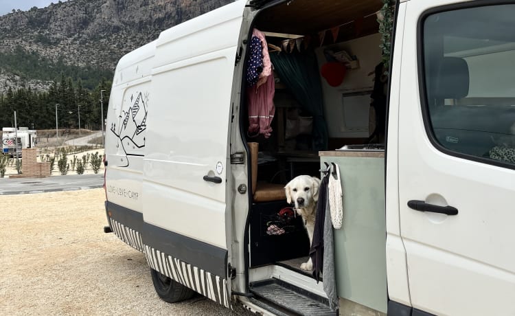 Camper Pioneer – Go on an adventure with our camper van Camper Pioneer