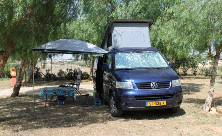 powerful VW T5 Multivan camper van with spacious Reimo pop-up roof