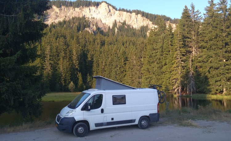 Levie – 2p Autobus camper unico del 2013