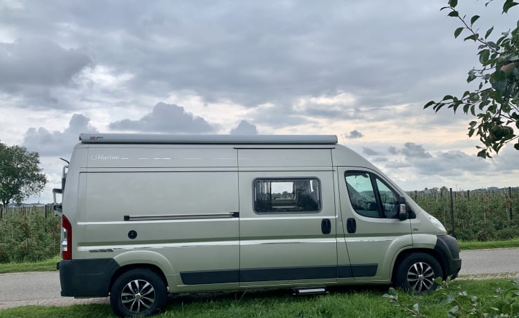 Perfect Fiat Bavaria Camp camper van for rent -automatic