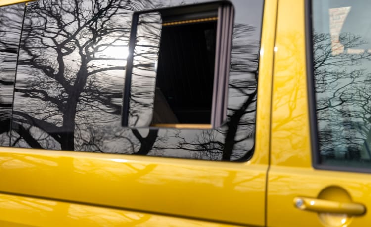 Goldbug – 4-persoons Volkswagen campervan uit 2019