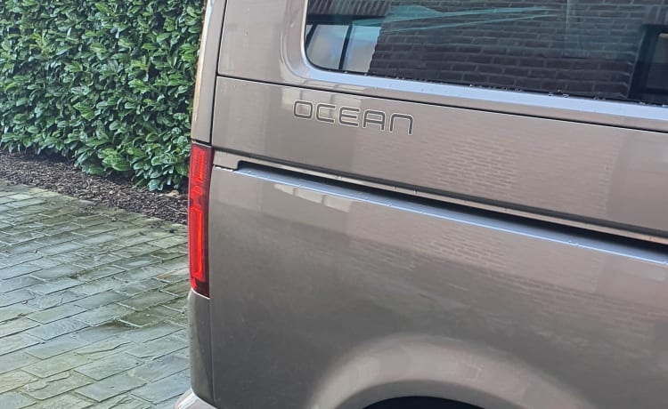 Volkswagen California Ocean T6.1