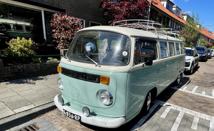 Pistache – Klassischer VW T2 Panoramabus