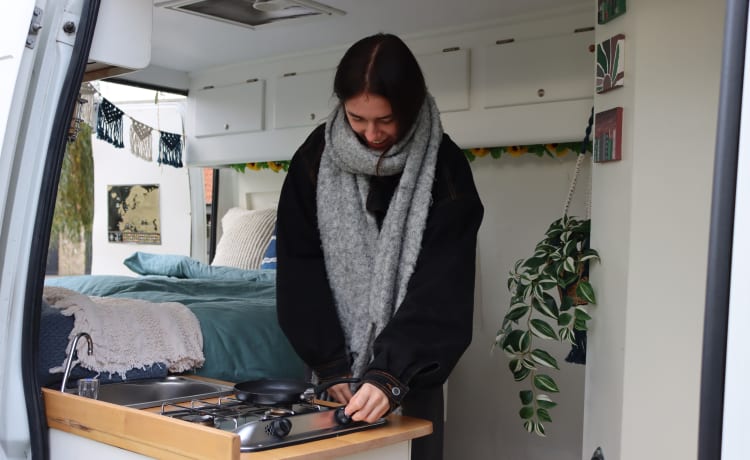 Bella de koe – Cozy campervan