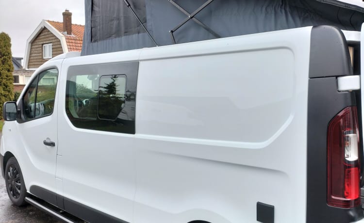 Renault Trafic Bus Camper