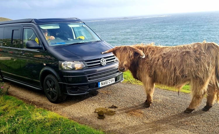 Monika – Vw Familie T5 - LWB Wohnmobil für 4 Personen