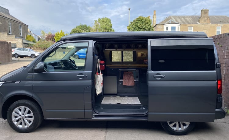 Harley – Wenn hundefreundlich hundefreundlich bedeutet – Luxus-Wohnmobil VW T6.1