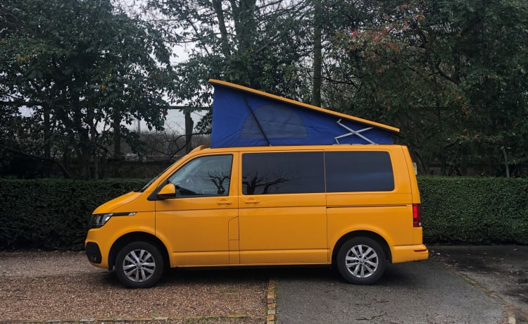 Horizon – 2020 VW T6.1 Wohnmobil 4 Schlafplätze