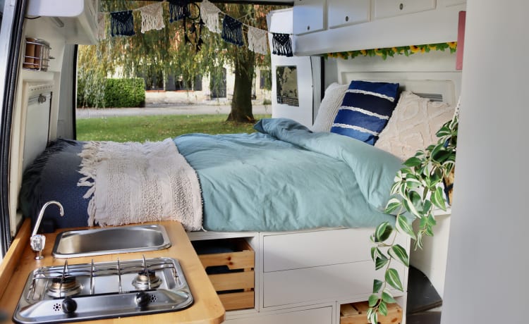 Bella de koe – Camping-car confortable