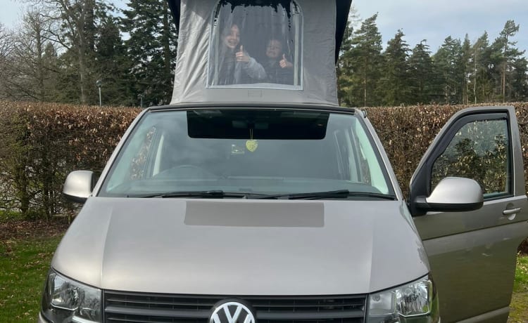 4 berth Volkswagen bus from 2018