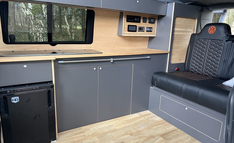 Camper Volkswagen 4 posti letto del 2016