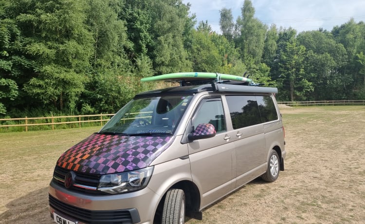 Little lottie – Little lottie VW T6