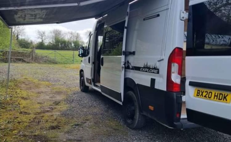 Fifi – 3-persoons Fiat Ducato 2020 