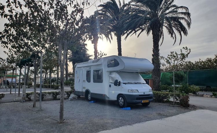 Truus ons vakantiehuus – Spacious family camper Fiat Ducato