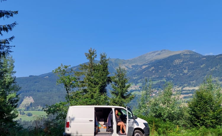 THE VAN – Gezellige zelfbouw VW-camper uit 2019