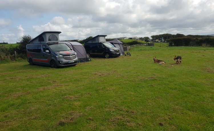 Betty – Bespoke full off-grid 4 berth Vauxhall vivaro campervan from 2017