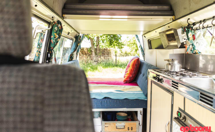 Sneeuwwitje – Charming dog-friendly Volkswagen bus camper