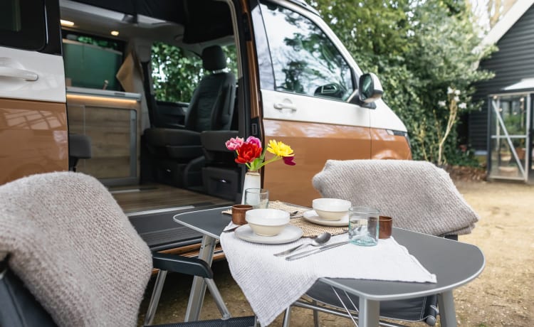 Dutch Nomad Van  – NIEUW! Compleet & Luxe uitgeruste VW California Ocean 6.1.