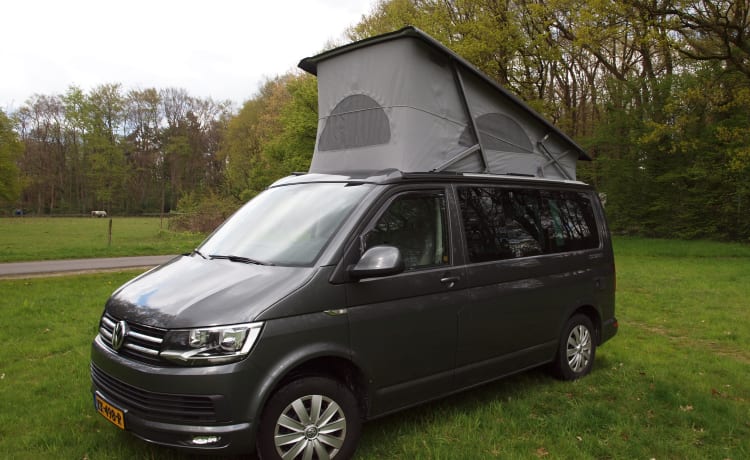2-/4p VW Westfalia camper van (2016)