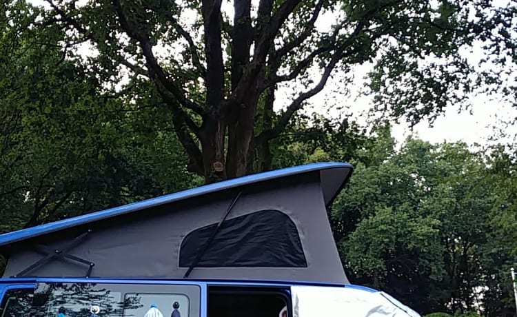 VW T5 GP California High roof from €99 p.d. - Goboony