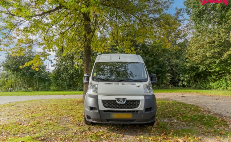 Peugeot Boxer L1H2 bus camper, perfect for a quick getaway.