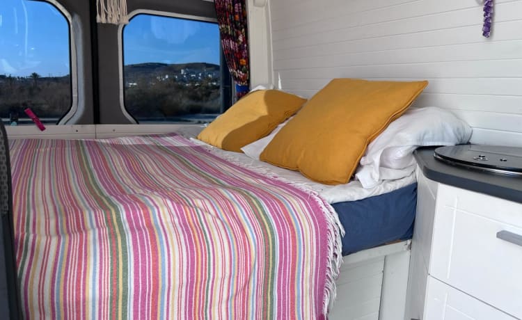 Dora – Campervan Valencia NL