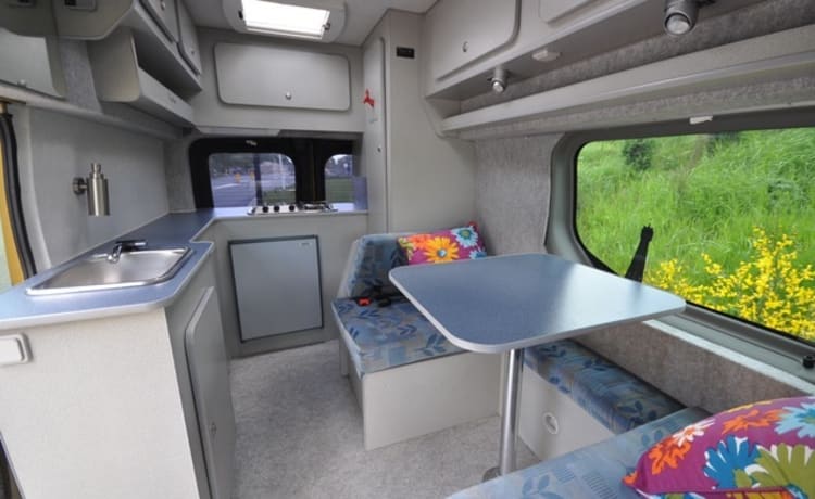 Type 5 – Compacte All seasons camper