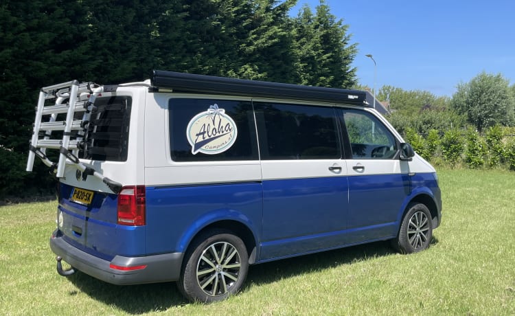 VW T6 Automaat – Aloha Beach Camper Blu