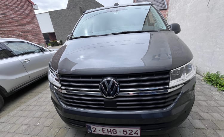 Zwitsers zakmes – 5p Volkswagen Wohnmobil ab 2023